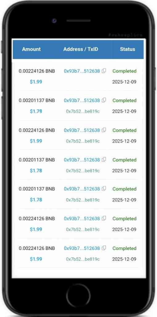 Bnbpick Withdrawal Proof